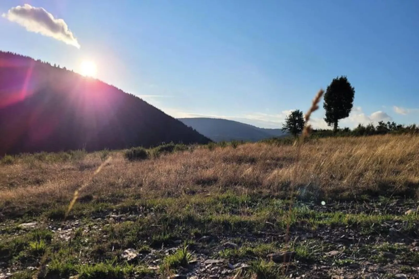 Gîte La cabane d'antoine-Niet-getagd