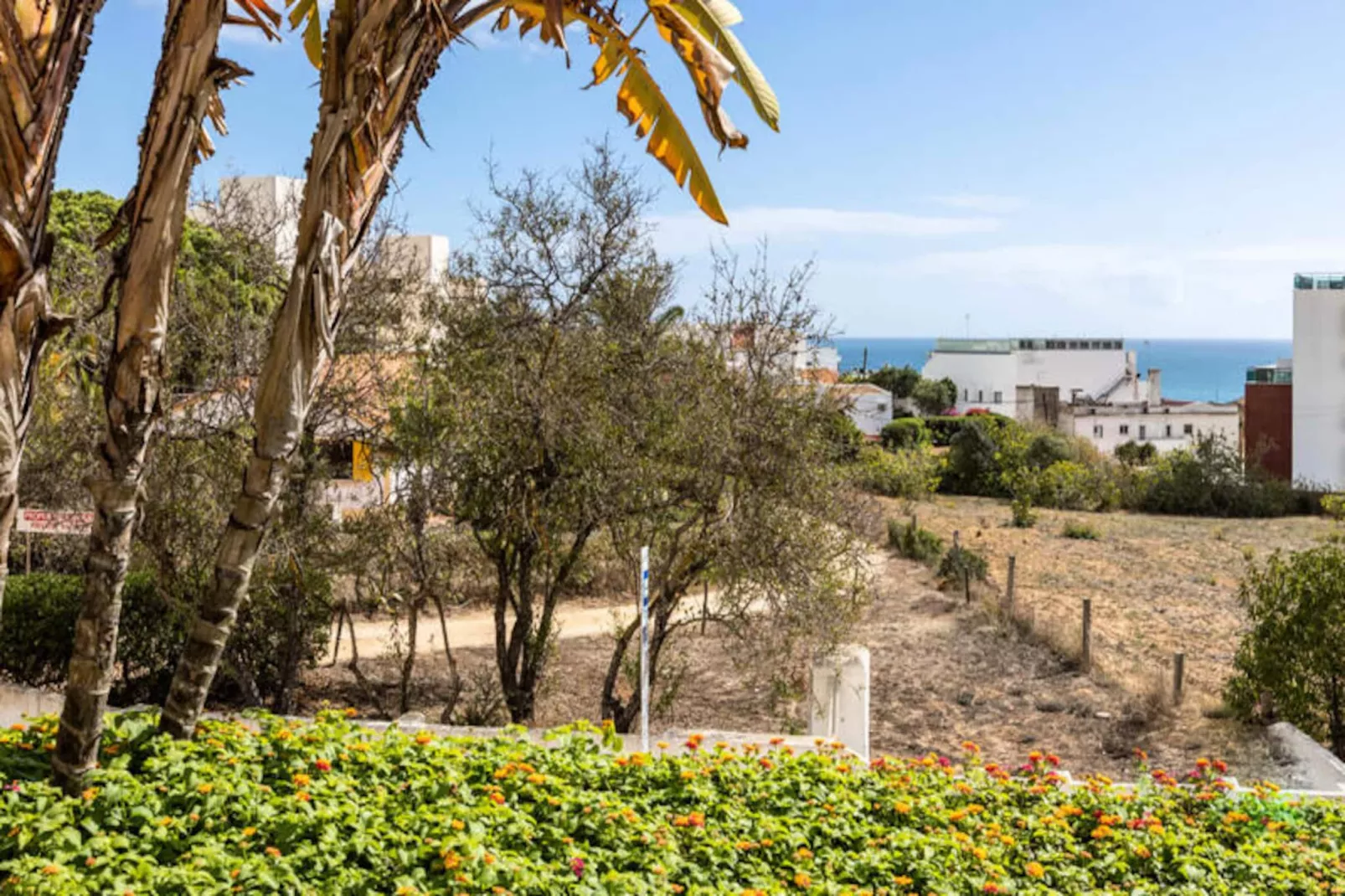 Studio Dona Ana-Niet-getagd