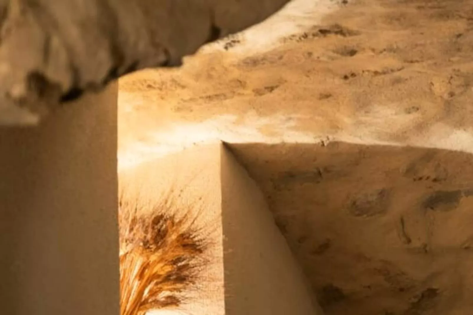 Mas De Th&eacute;s&eacute;e | Piscine & 12 Ha Priv&eacute;s-Niet-getagd