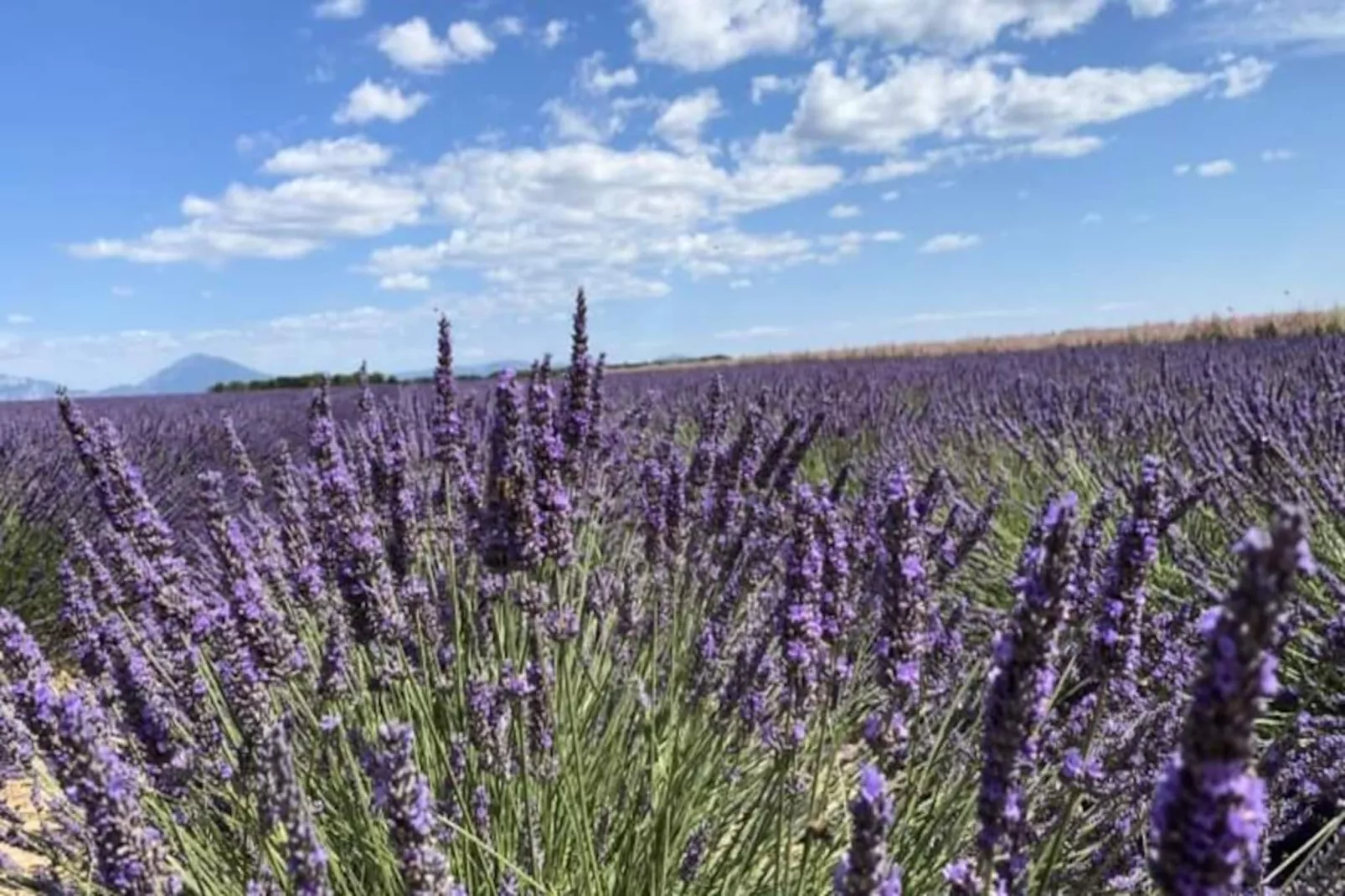 04b4 : Beau Studio Dans Un Mas Proven&ccedil;al - Piscine-Niet-getagd