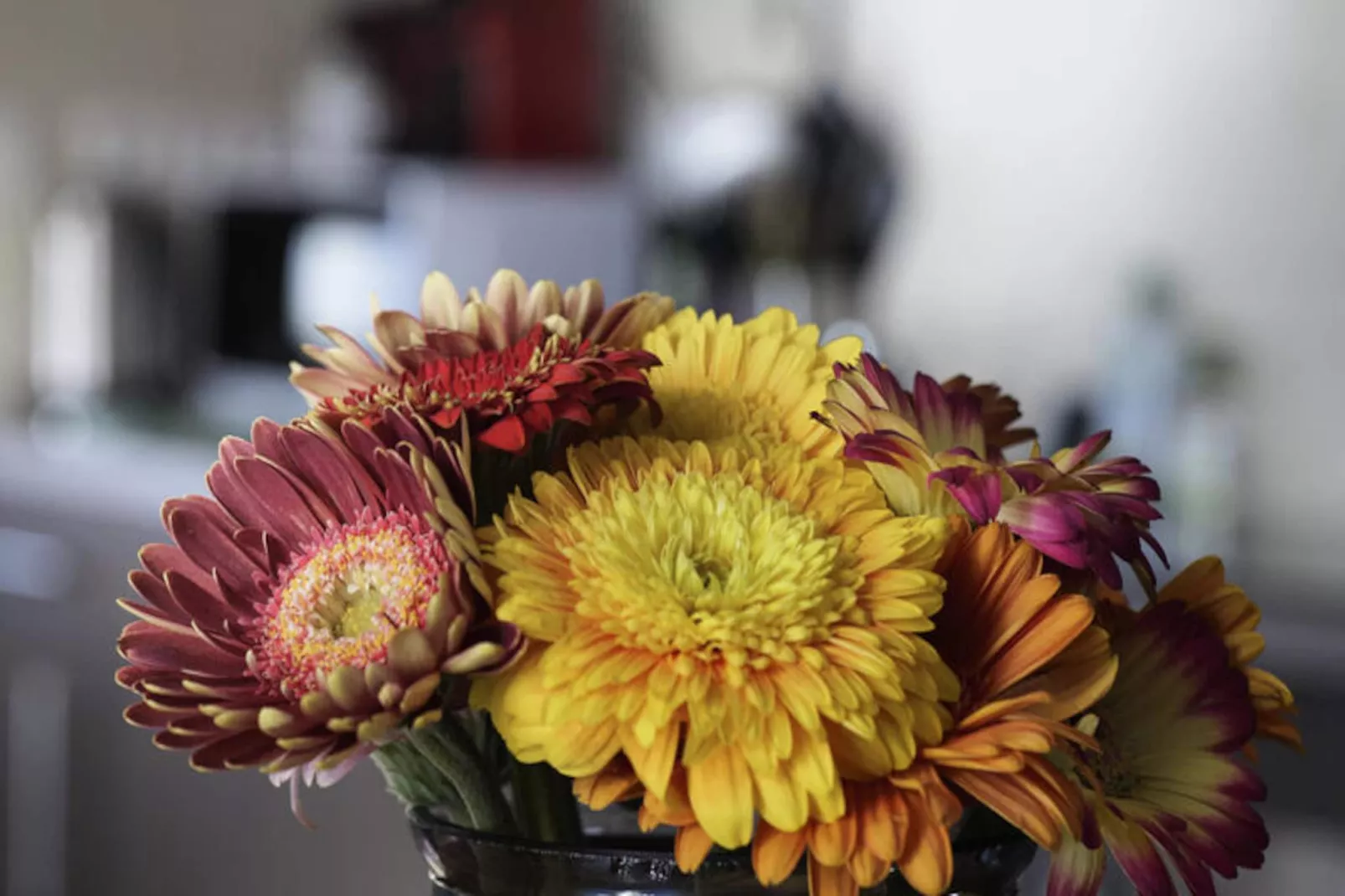 Appartements à La Rochelle-Niet-getagd