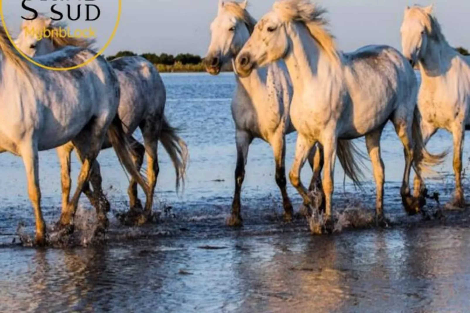 Résidence Le Reflet Des Mers - P3 Premi&egrave;re Ligne Vue Mer Et Parking-Niet-getagd