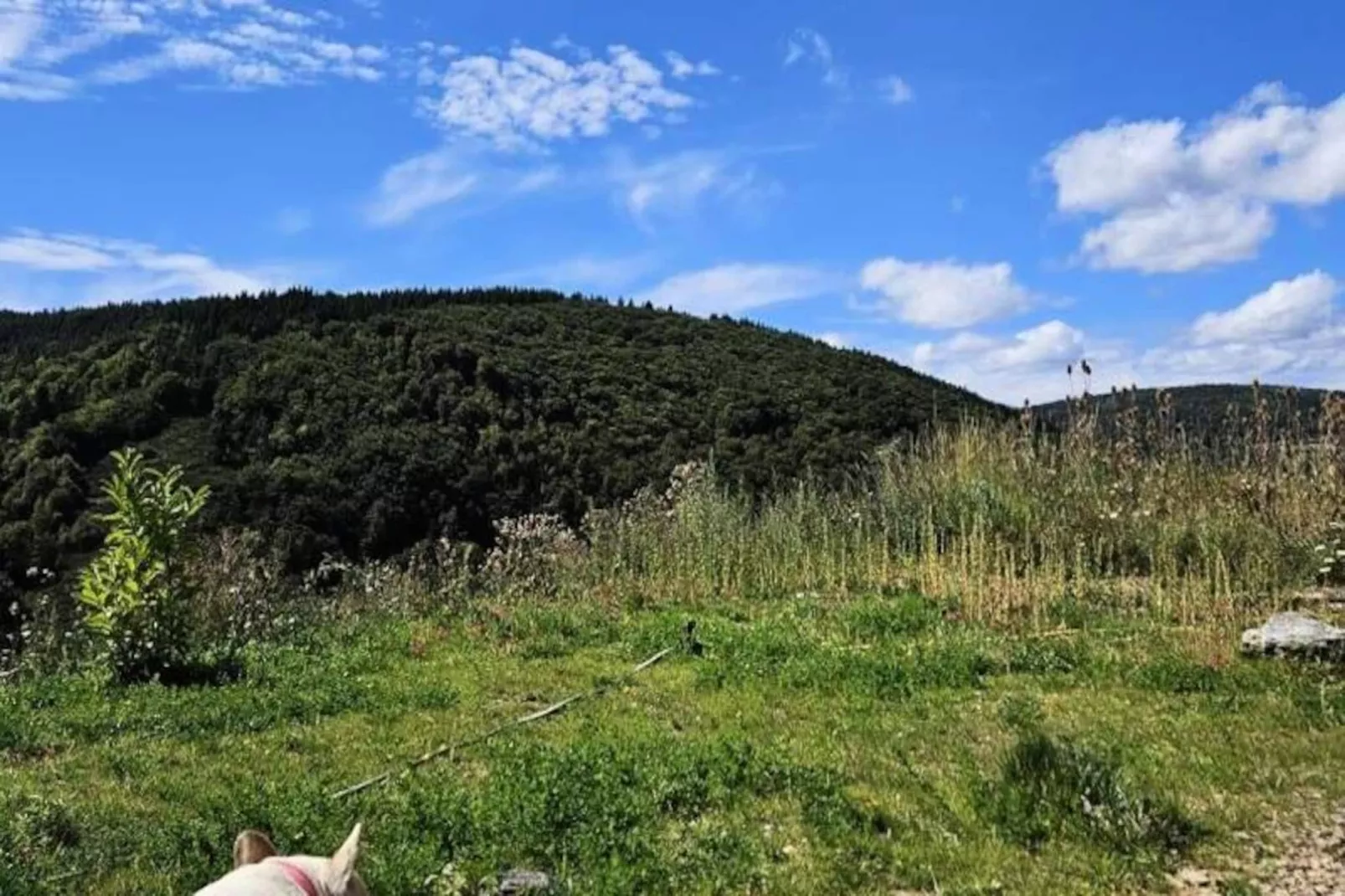 Gîte La cabane d'antoine-Niet-getagd