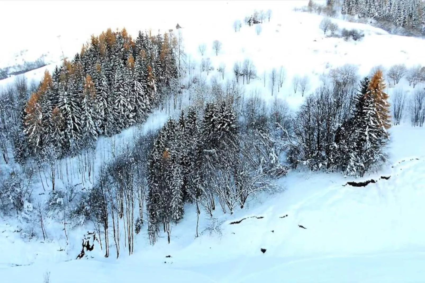 Résidence Vostok-Niet-getagd