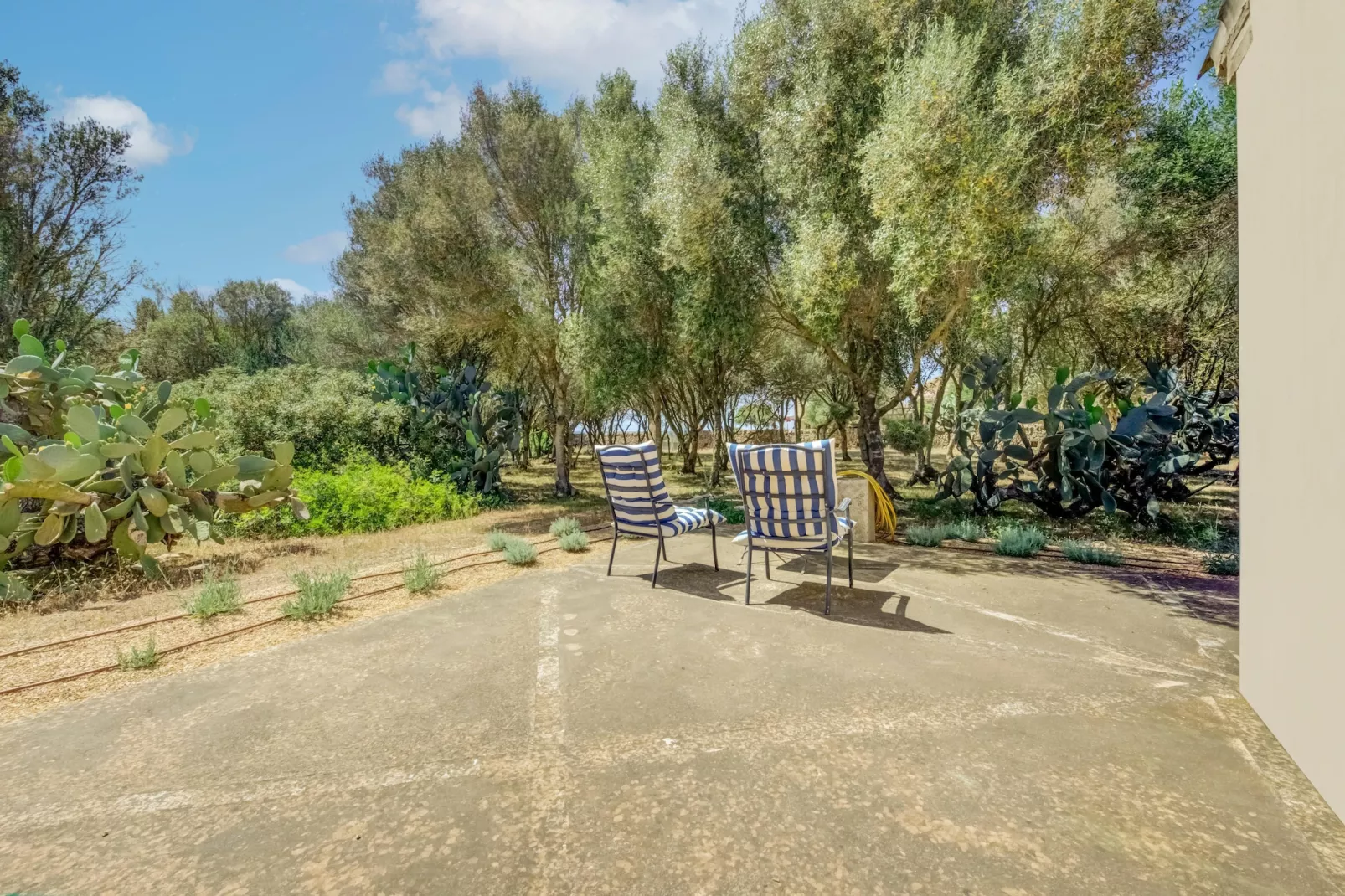 Gallinero-Terrasbalkon