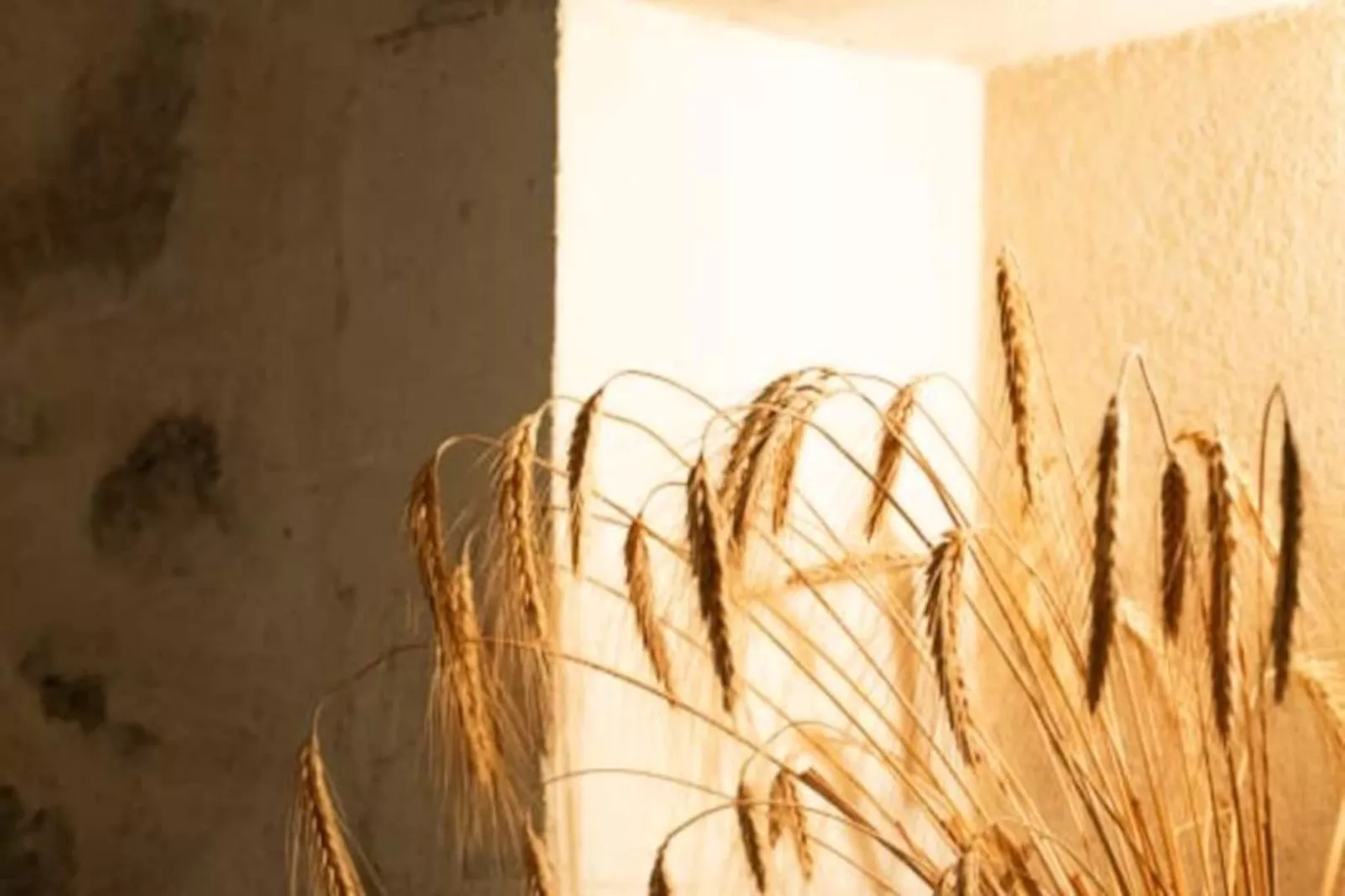 Mas De Th&eacute;s&eacute;e | Piscine & 12 Ha Priv&eacute;s-Niet-getagd