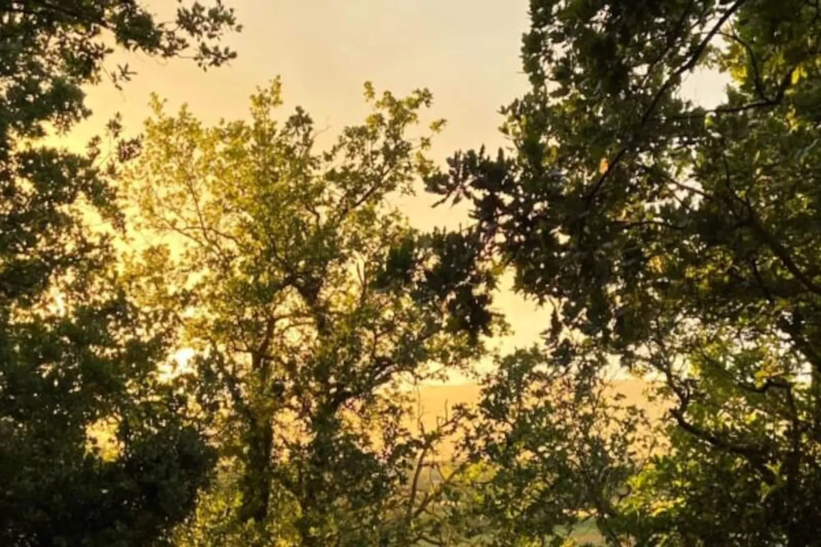 Cabane D&rsquo;ismou | Piscine & Design Bois-Niet-getagd