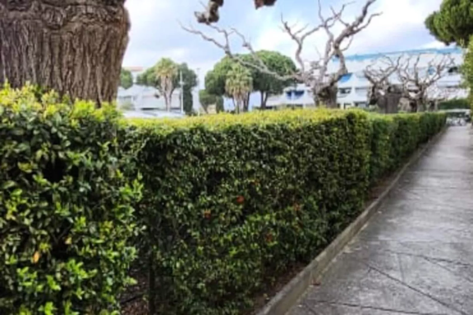 Résidence Terrasses 2 - Plage Et Commerces &agrave; 400 M-Niet-getagd