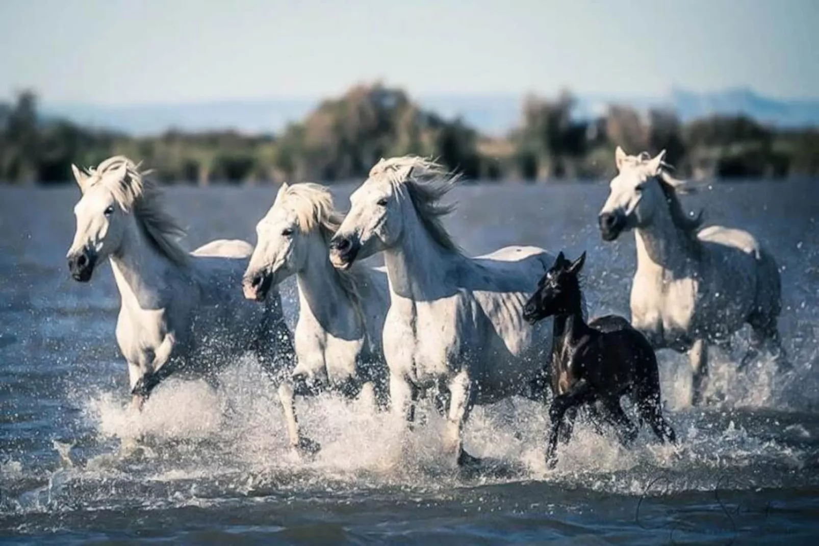 Résidence Les Jardins Du Port-Niet-getagd