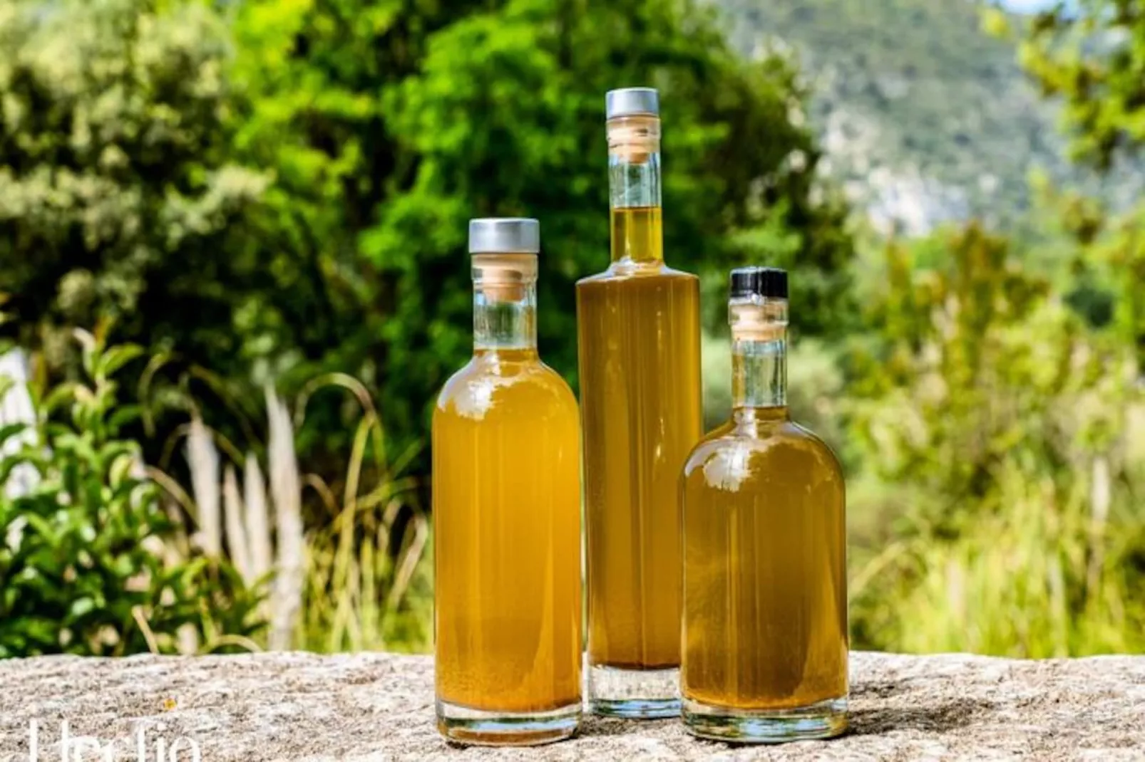 Loggia 1 Olivier | R&eacute;sidence Les Petitons-Niet-getagd