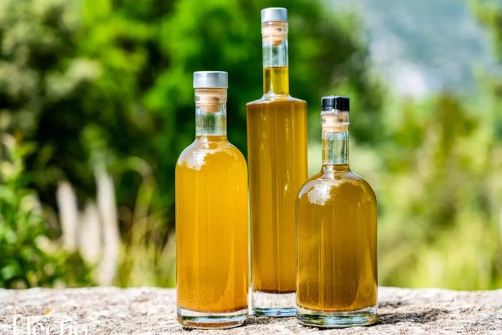 Loggia 5 Rosier | R&eacute;sidence Les Petitons-Niet-getagd