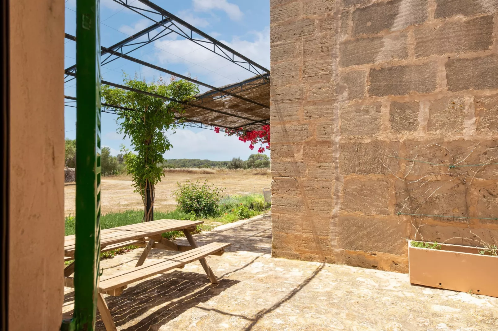 El Taller-Gebieden zomer 1km