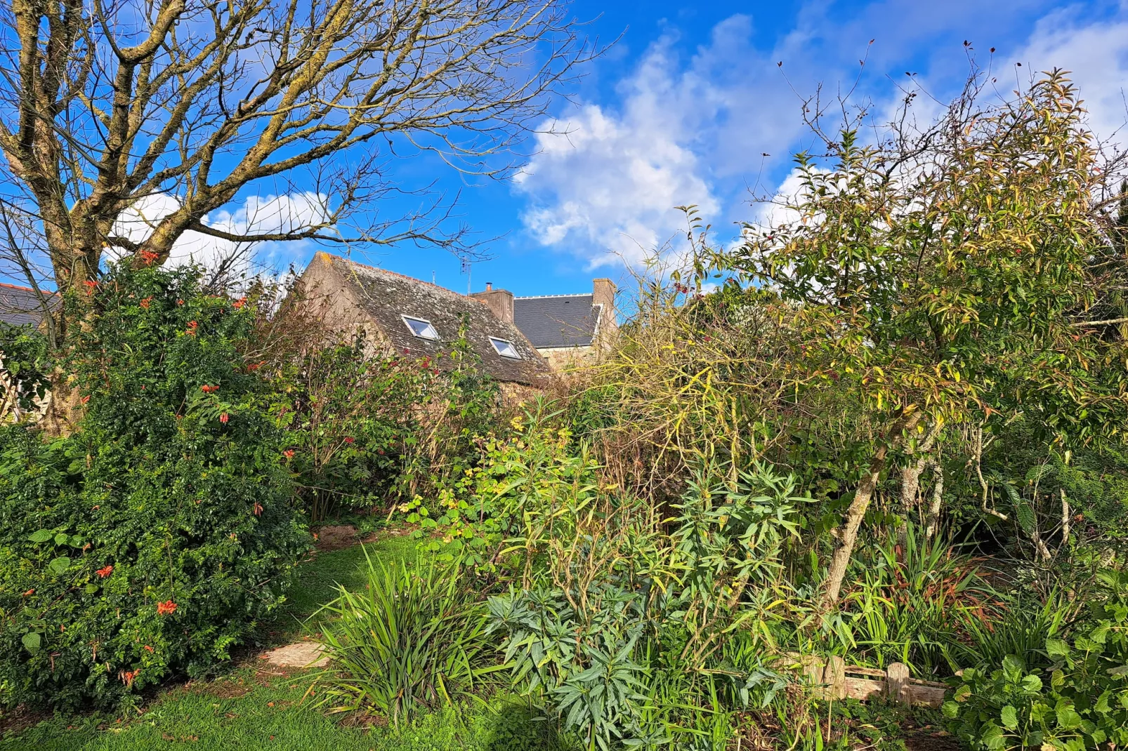 Granitsteinhaus in Guimaëc-Tuin winter