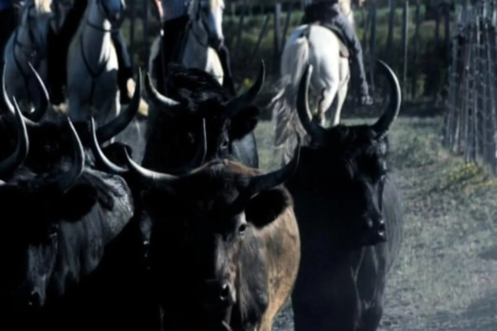 Résidence A101 L'&eacute;cume Des Vagues-Niet-getagd