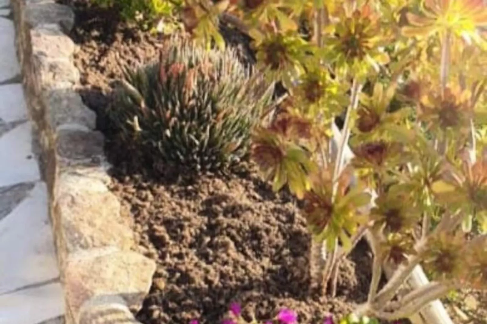 Résidence Vue Exceptionnelle &agrave; Saint-clair Pour 4 Personnes-Niet-getagd