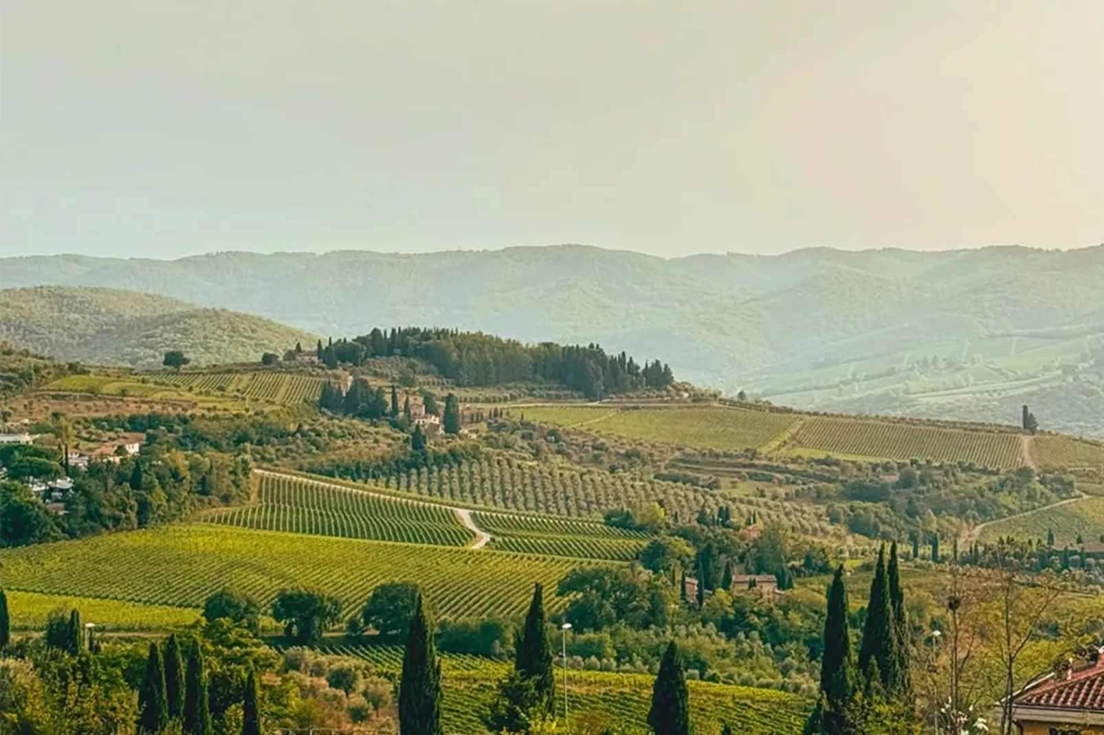 Fattoria-Gebieden zomer 20km