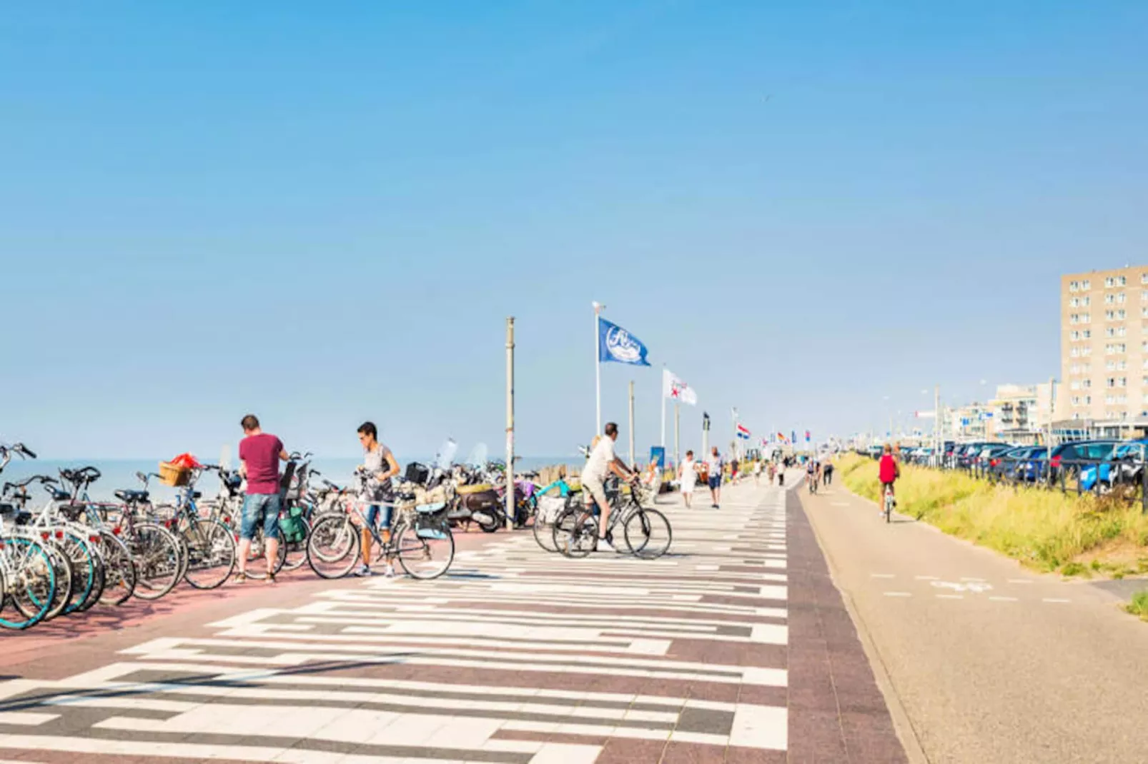 Yucca Apartment - Beachhouse Zandvoort-Niet-getagd