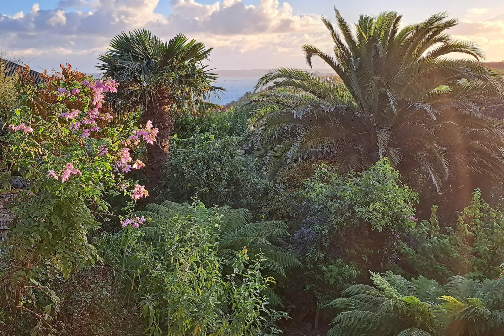 Granitsteinhaus in Guimaëc-Uitzicht winter