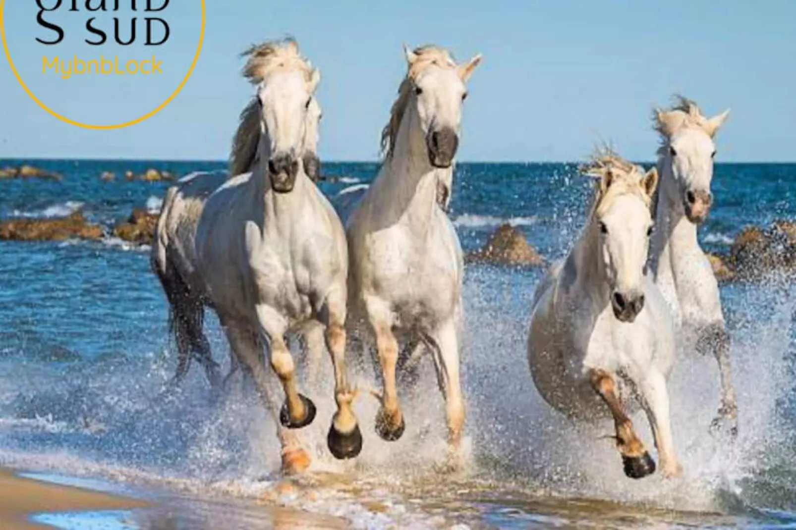 Résidence Le Reflet Des Mers - P3 Premi&egrave;re Ligne Vue Mer Et Parking-Niet-getagd