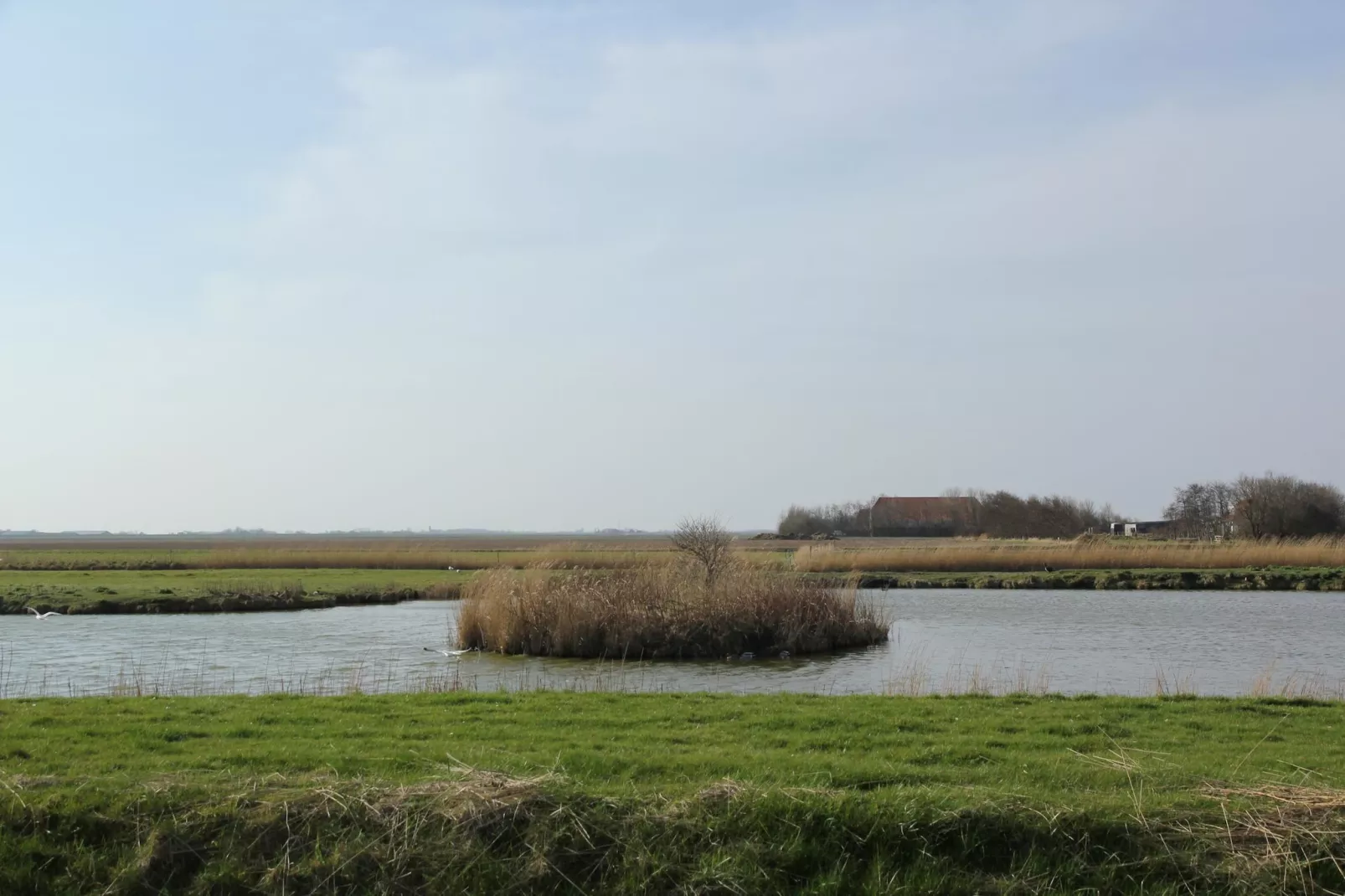 De Witte Parel-Gebieden zomer 5km