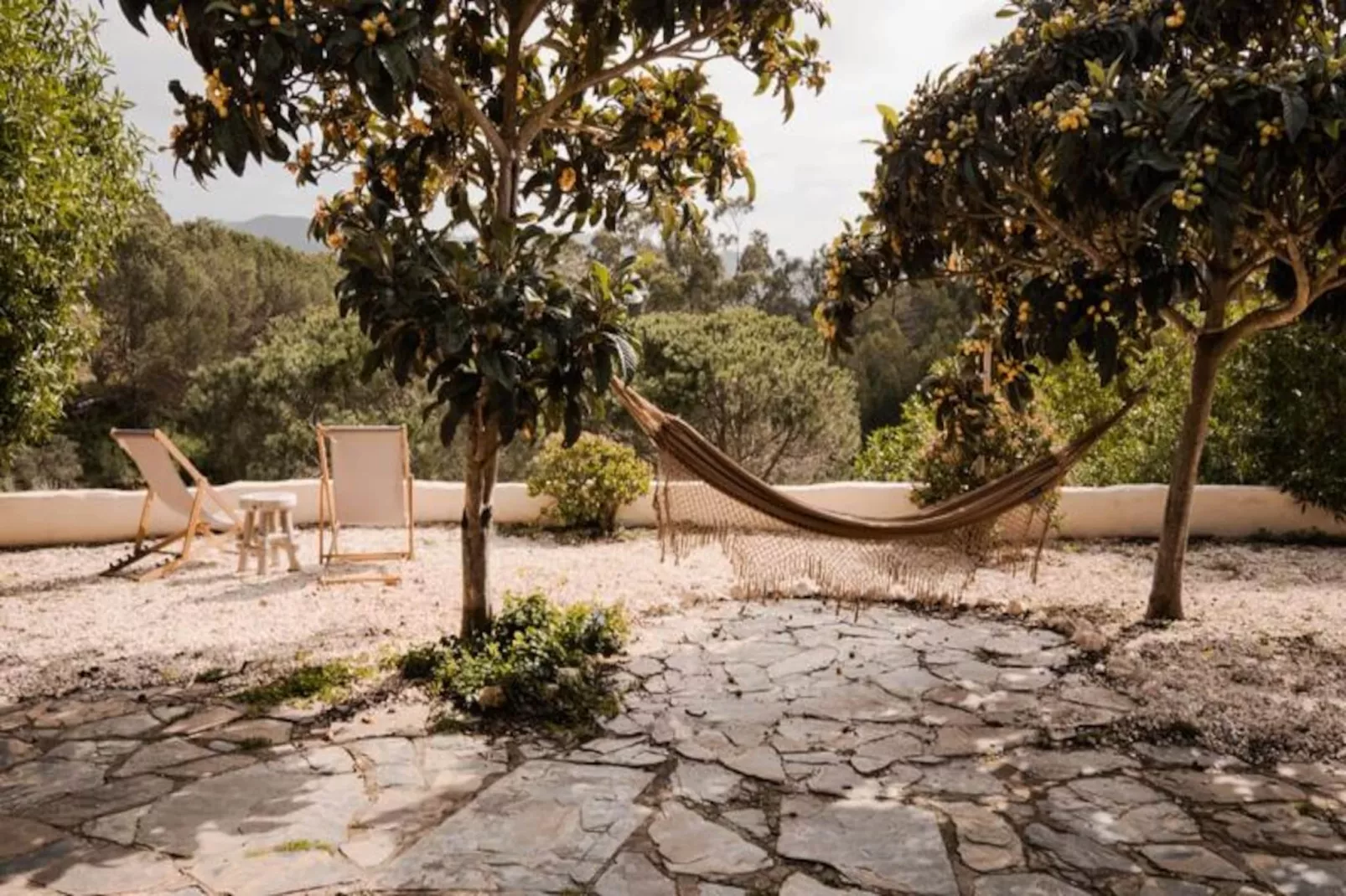 The Lemon Lodge - Tikka Suite-Niet-getagd