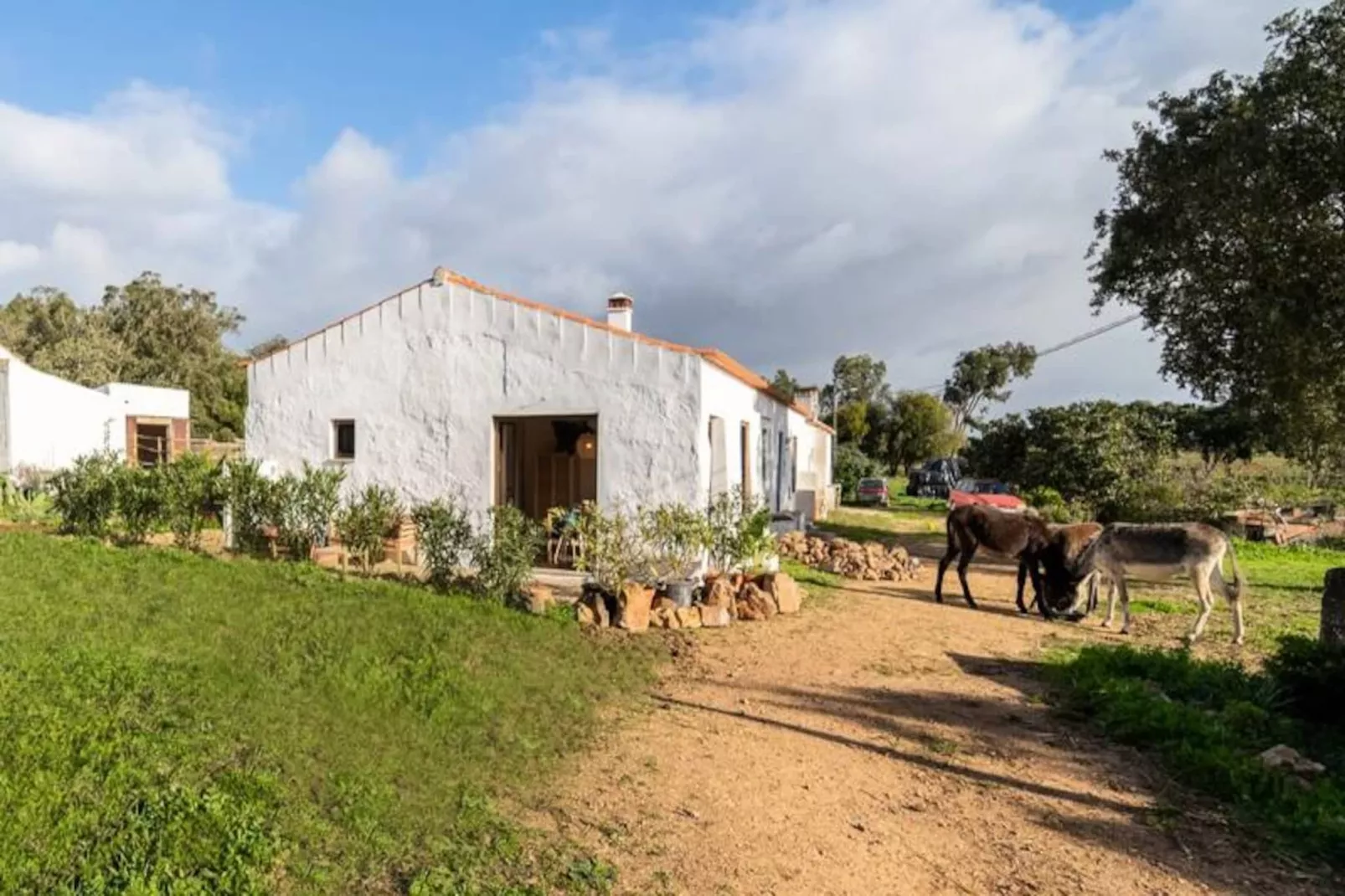 Casinha Da Paz-Niet-getagd