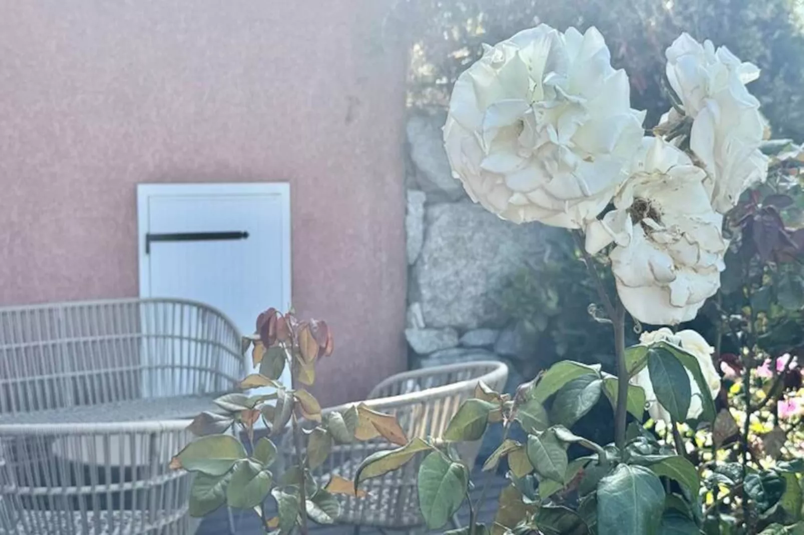 Résidence A Machja-Niet-getagd