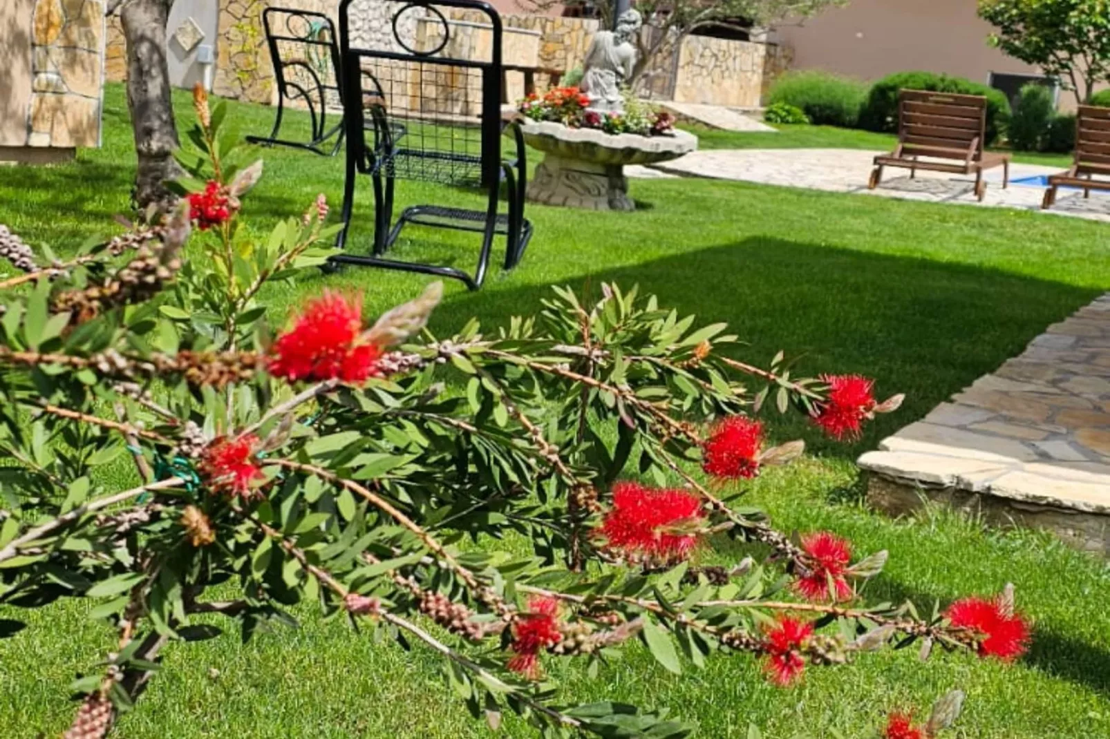 Villa Popovića Dvori -  Six Bedroom Villa with Pool-Niet-getagd