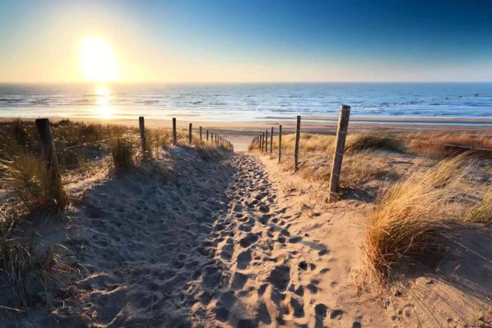 Yucca Apartment - Beachhouse Zandvoort-Niet-getagd