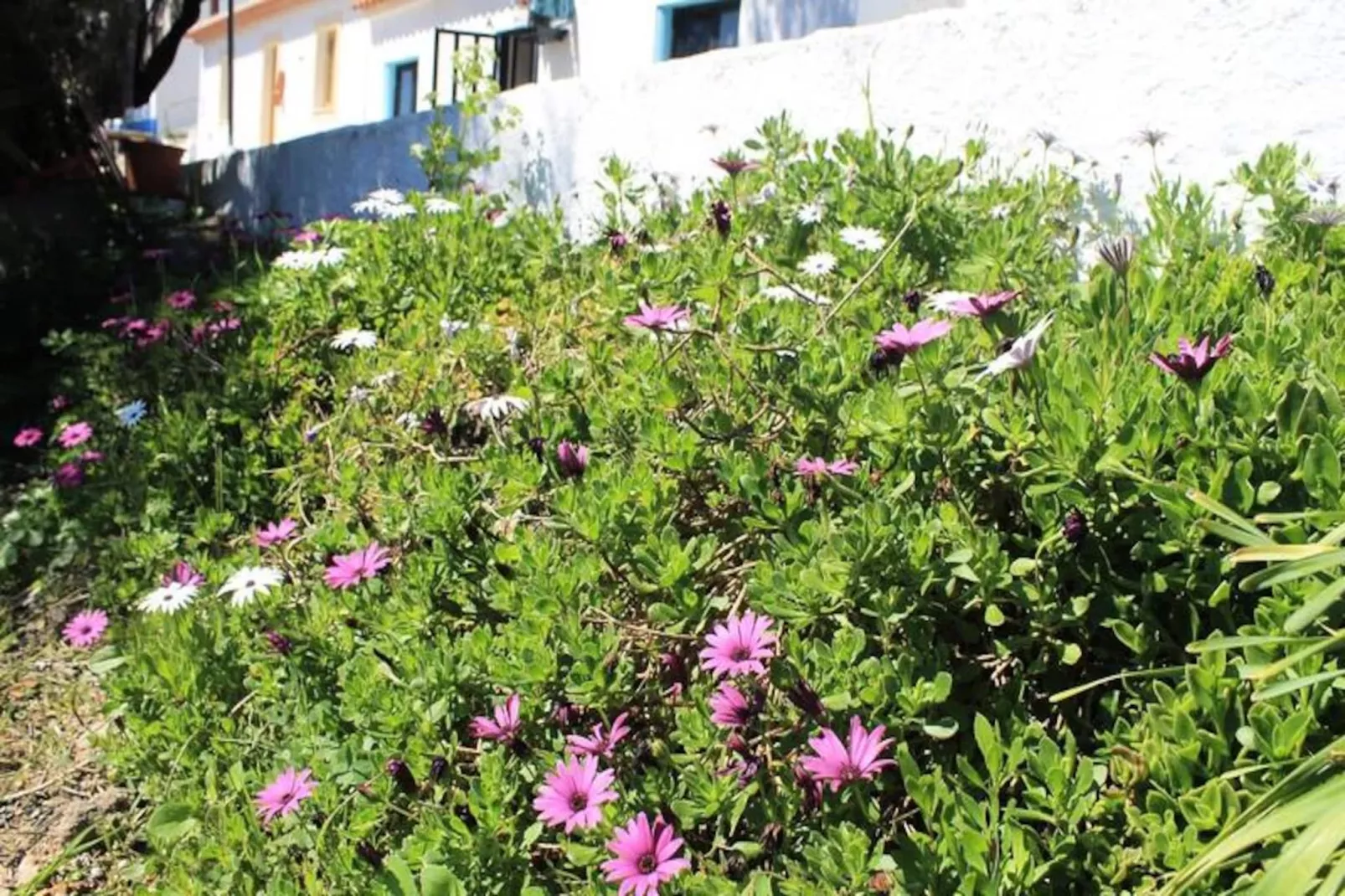 Cottage Aljezur Town-Niet-getagd