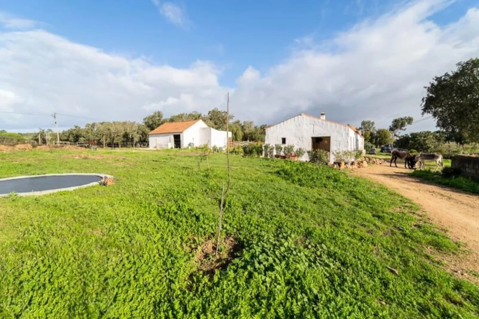 Casinha Da Paz-Niet-getagd