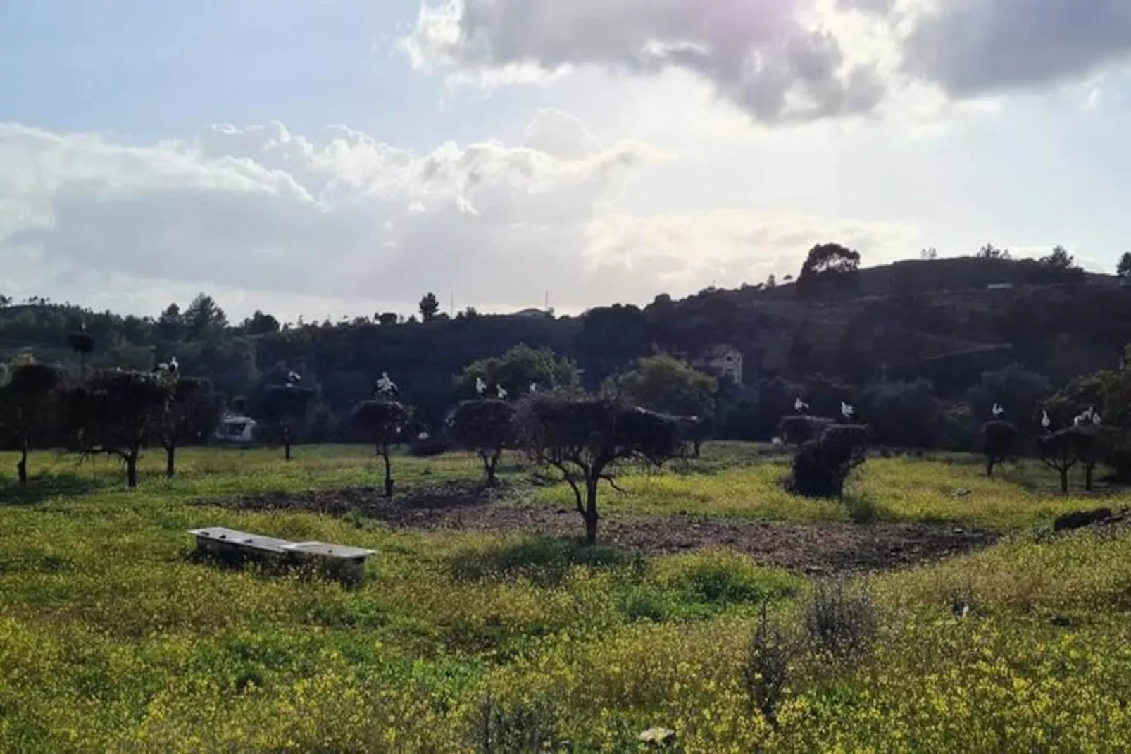 Vista Bonita-Niet-getagd