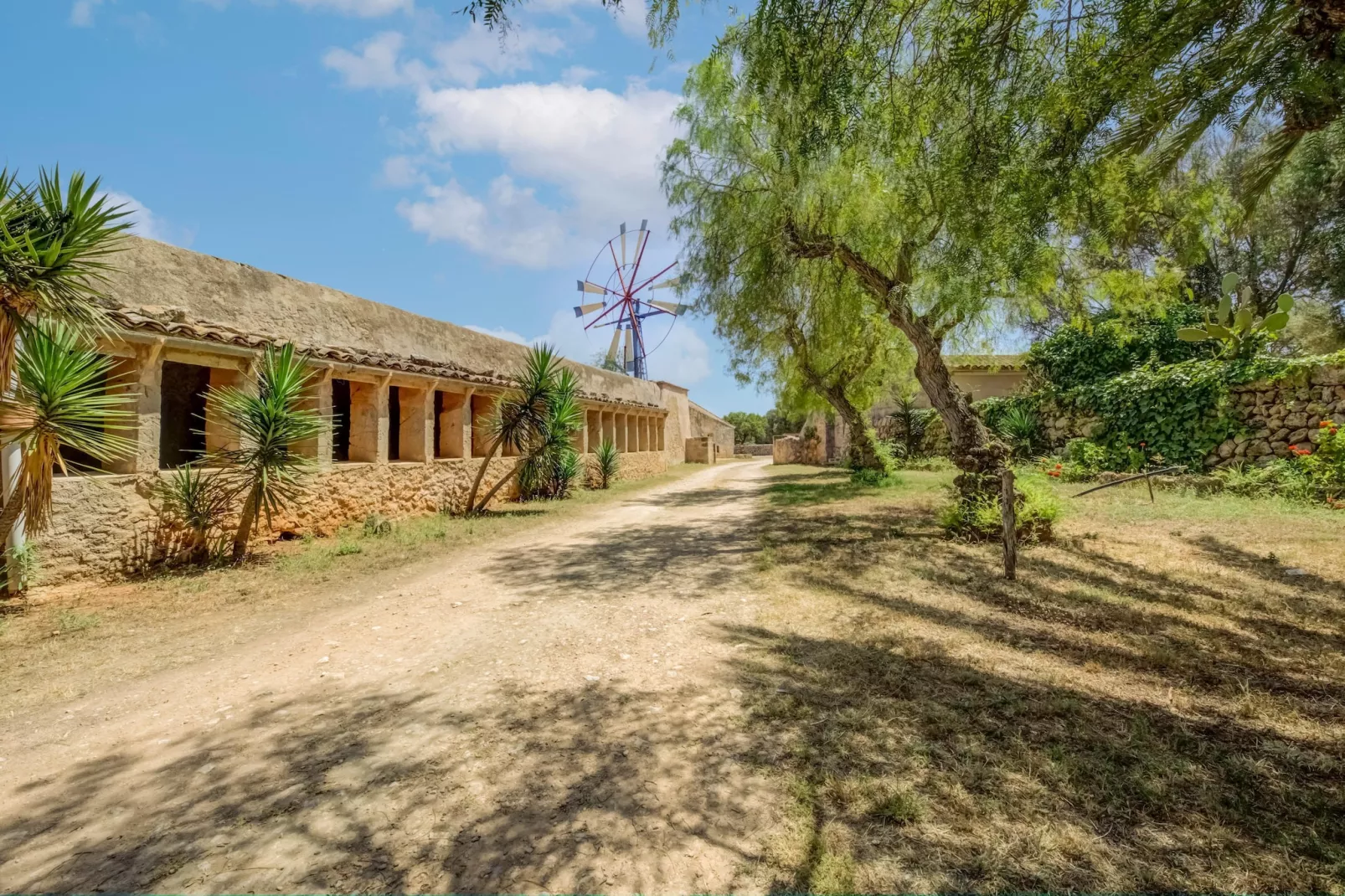 Gallinero-Gebieden zomer 1km