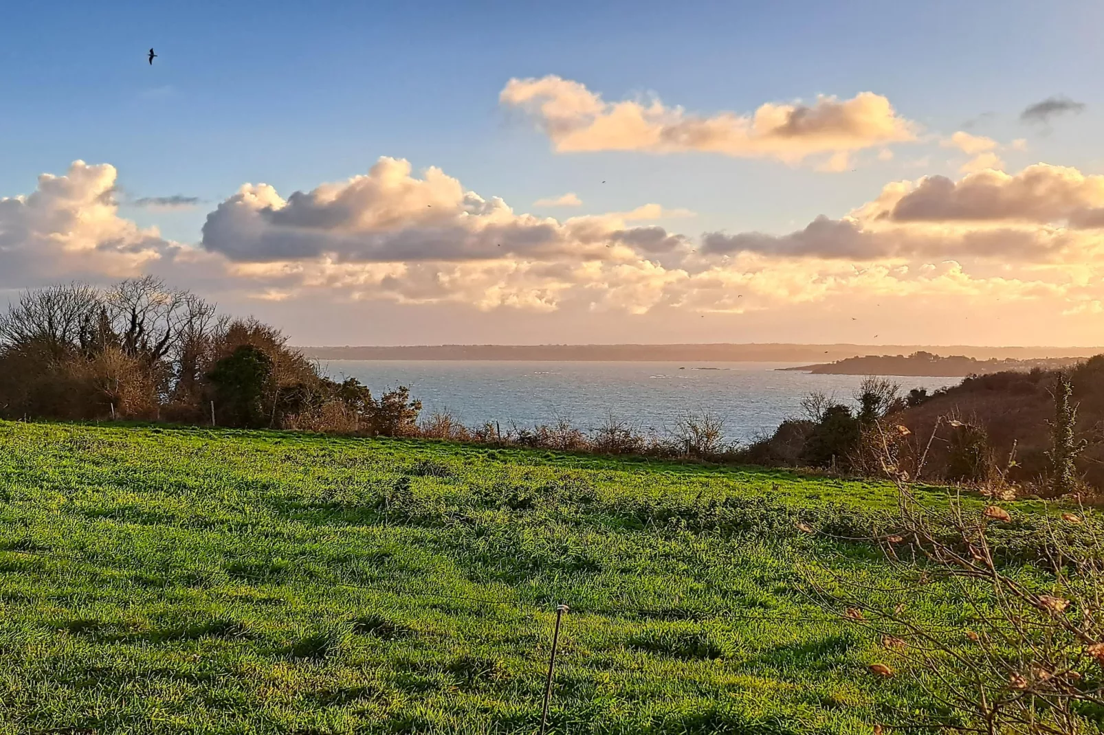 Granitsteinhaus in Guimaëc-Buitenlucht