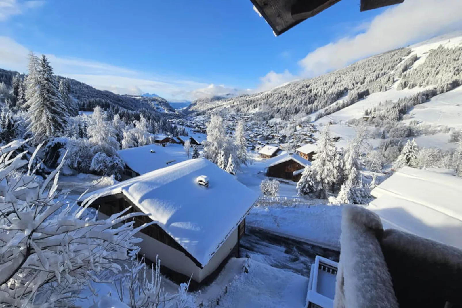 Chalets à Les Gets-Niet-getagd