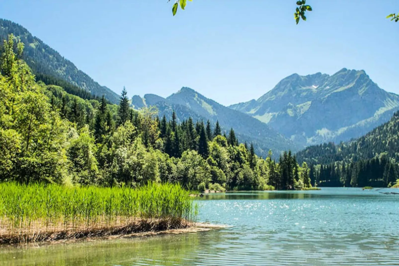 AlpResort Portes du Soleil ****-Niet-getagd