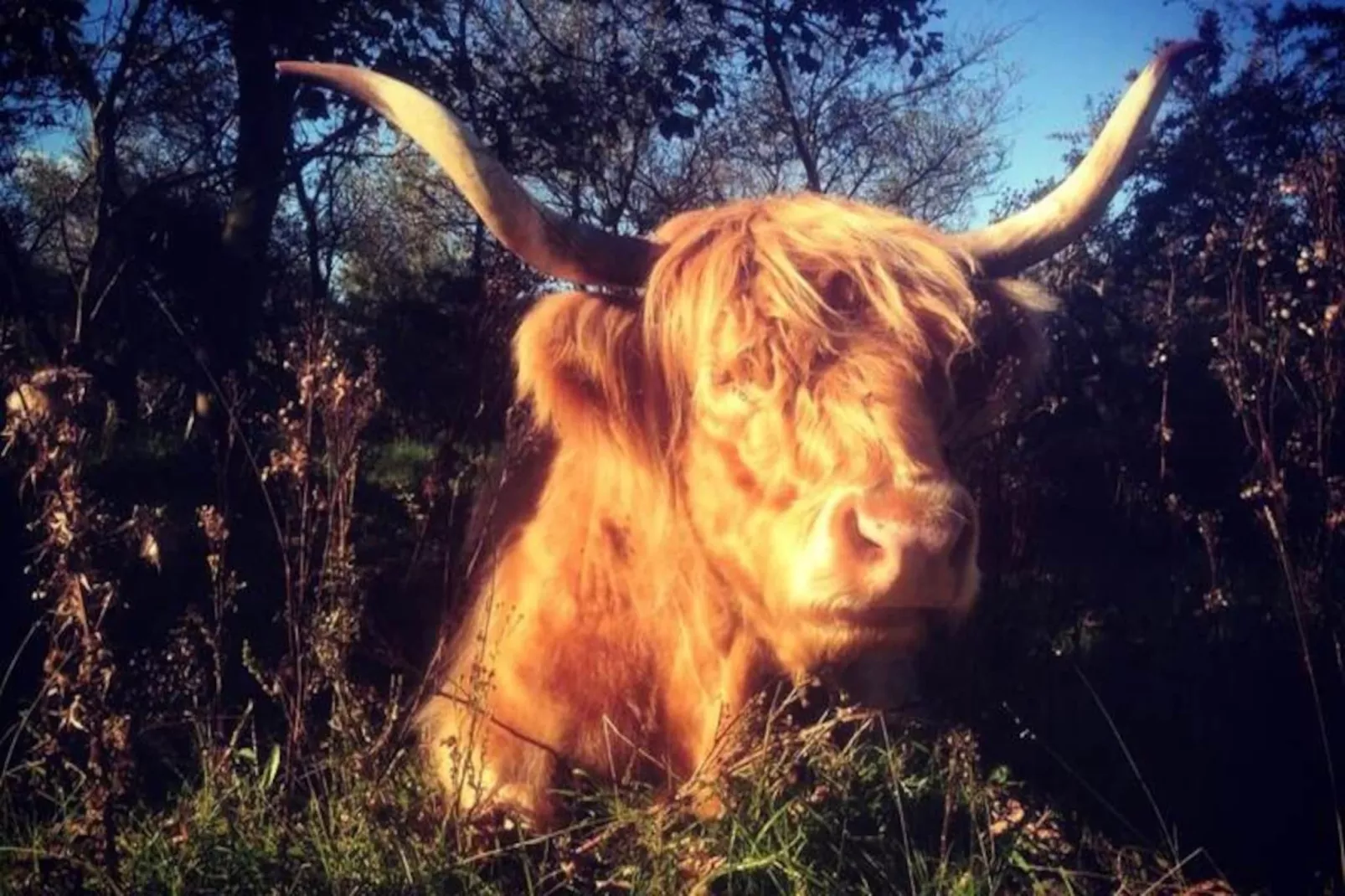 Cute Beach House-Niet-getagd