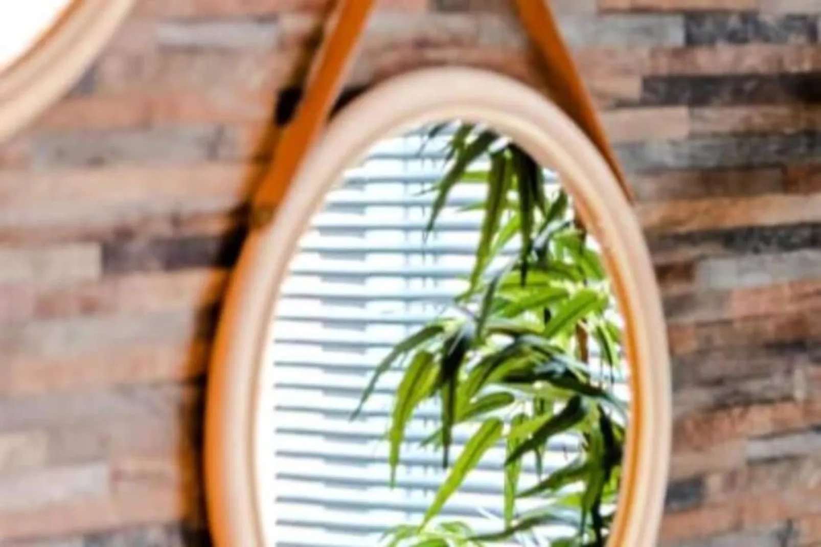 Oasis Zandvoort - Parking Gratuit-Niet-getagd