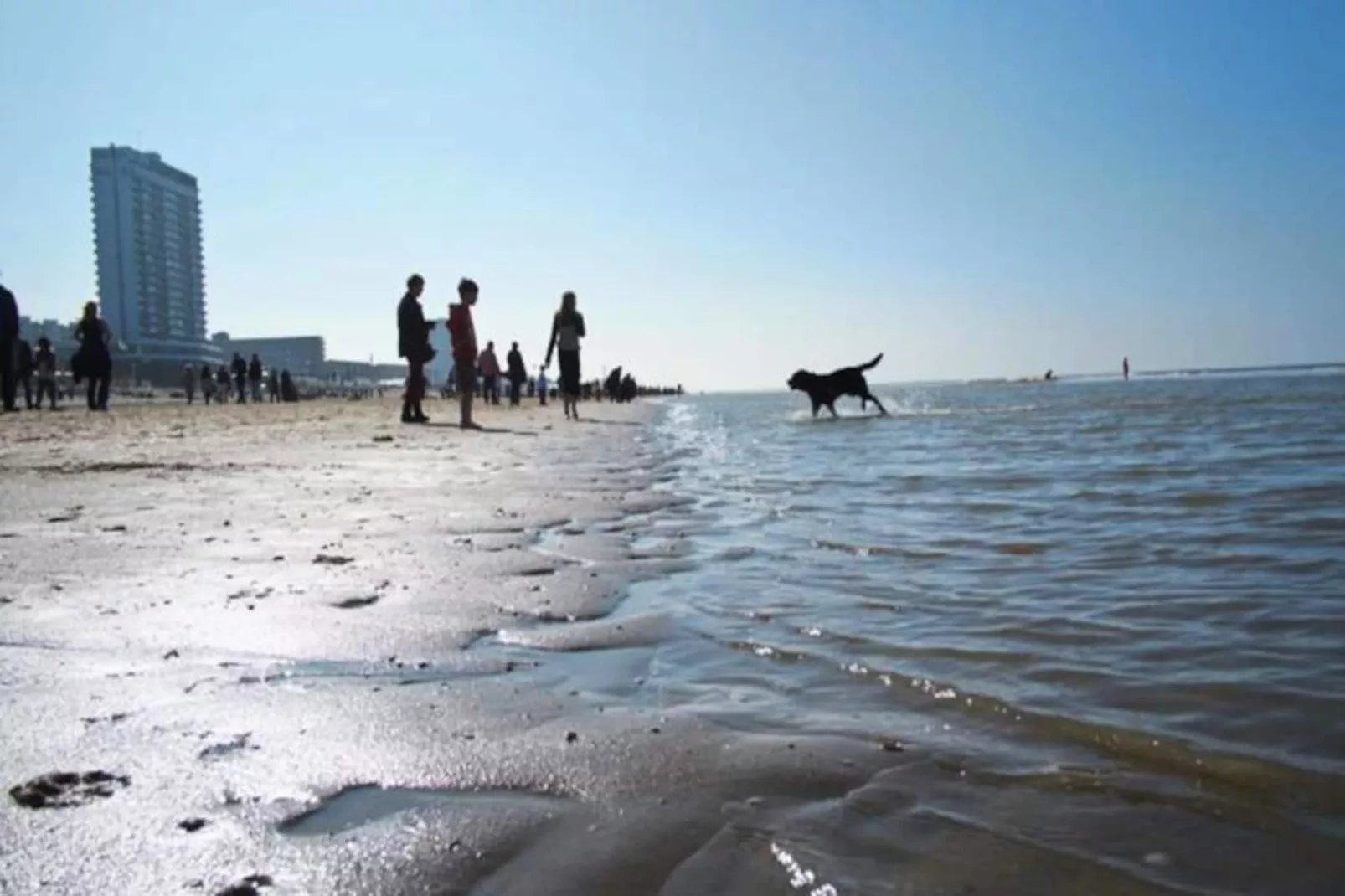 Studio Zwinkels-Niet-getagd