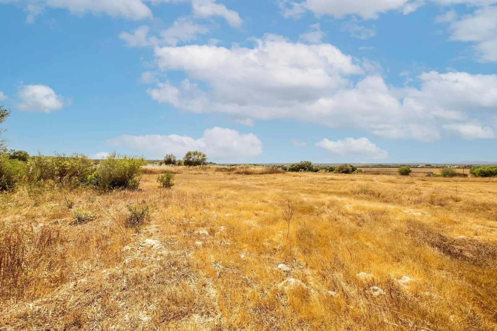 El Taller-Gebieden zomer 1km
