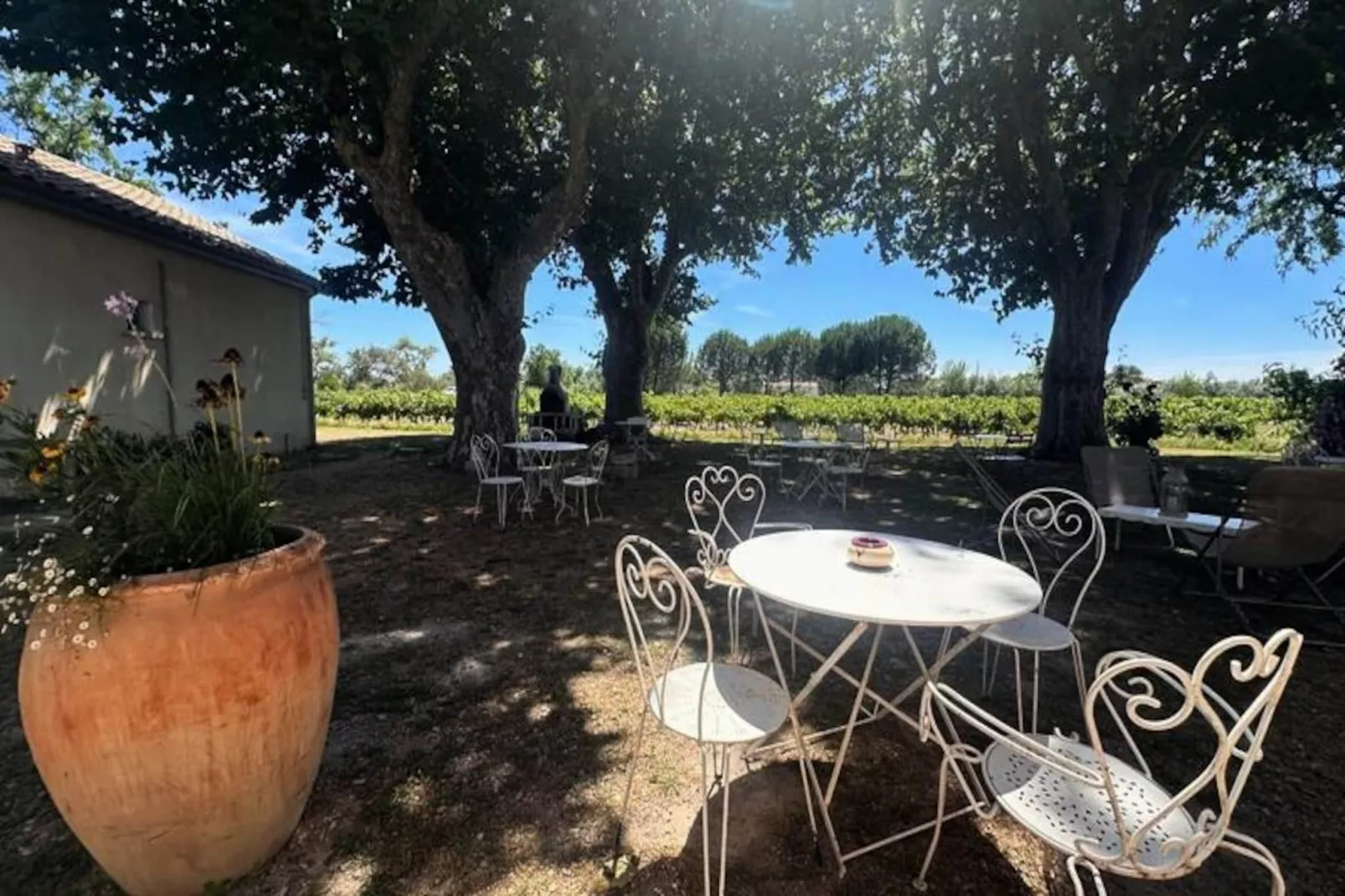 Résidence G&icirc;te De La Cave - Charmant G&icirc;te Proven&ccedil;al Avec Une Chambre-Niet-getagd