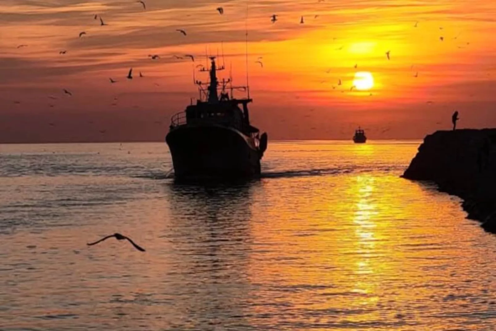 Résidence Le Quai Aux Fleurs - Résidence Avec Piscine Proche De La Mer-Niet-getagd