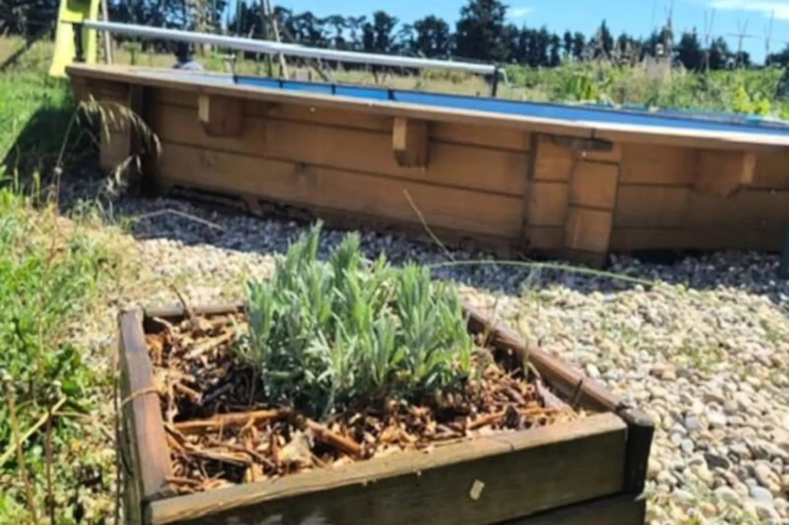 Maison Familiale Avec Piscine - Isle-sur-la-sorgue-Niet-getagd
