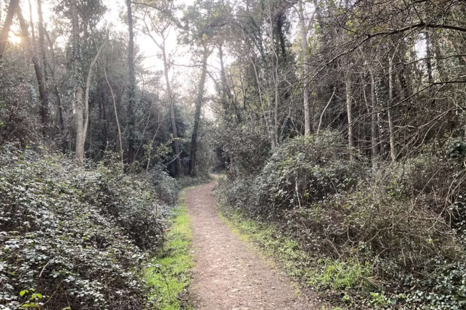 Maison à Les Sables d'Olonne-Niet-getagd
