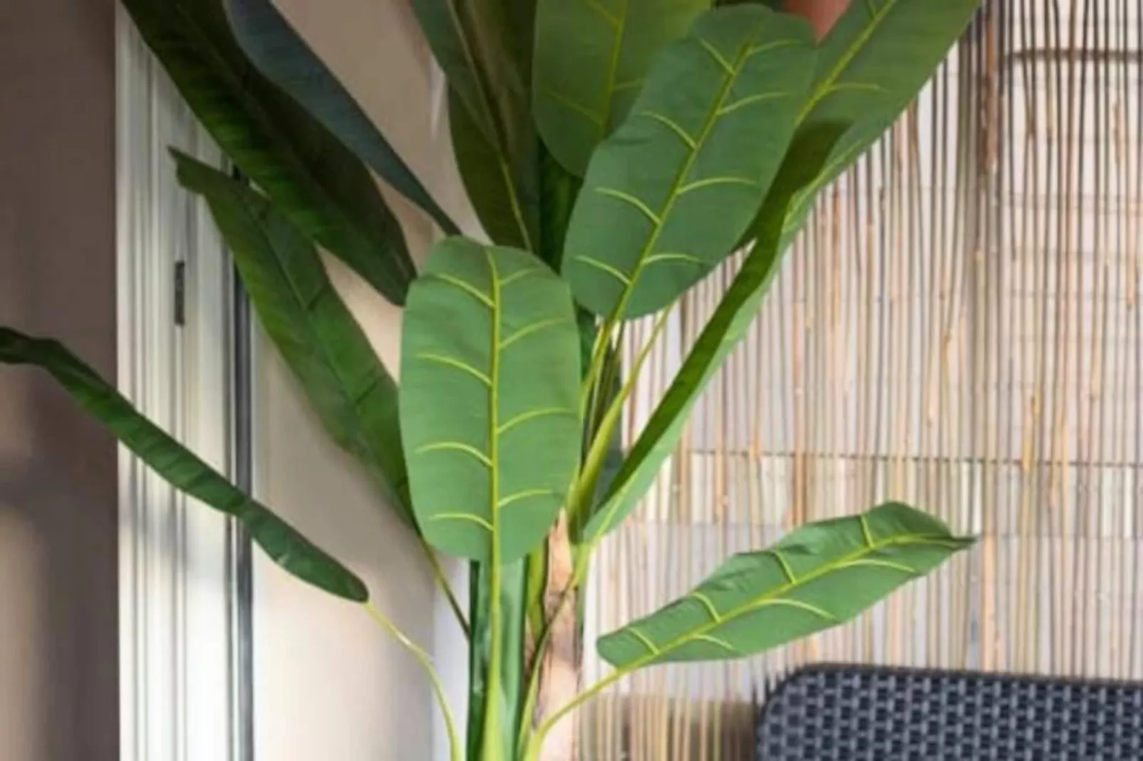 06k2 - Joli Studio Climatisé - Terrasse Vue Mer-Niet-getagd