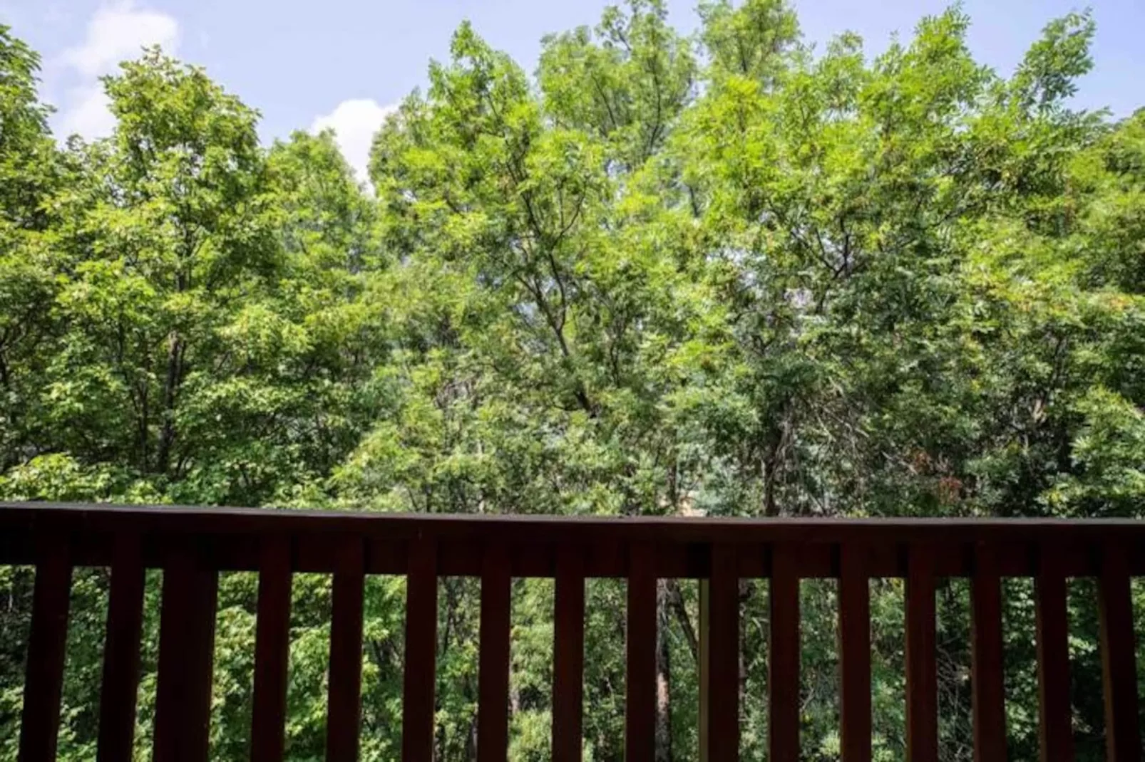 Fauvettes 4-Niet-getagd