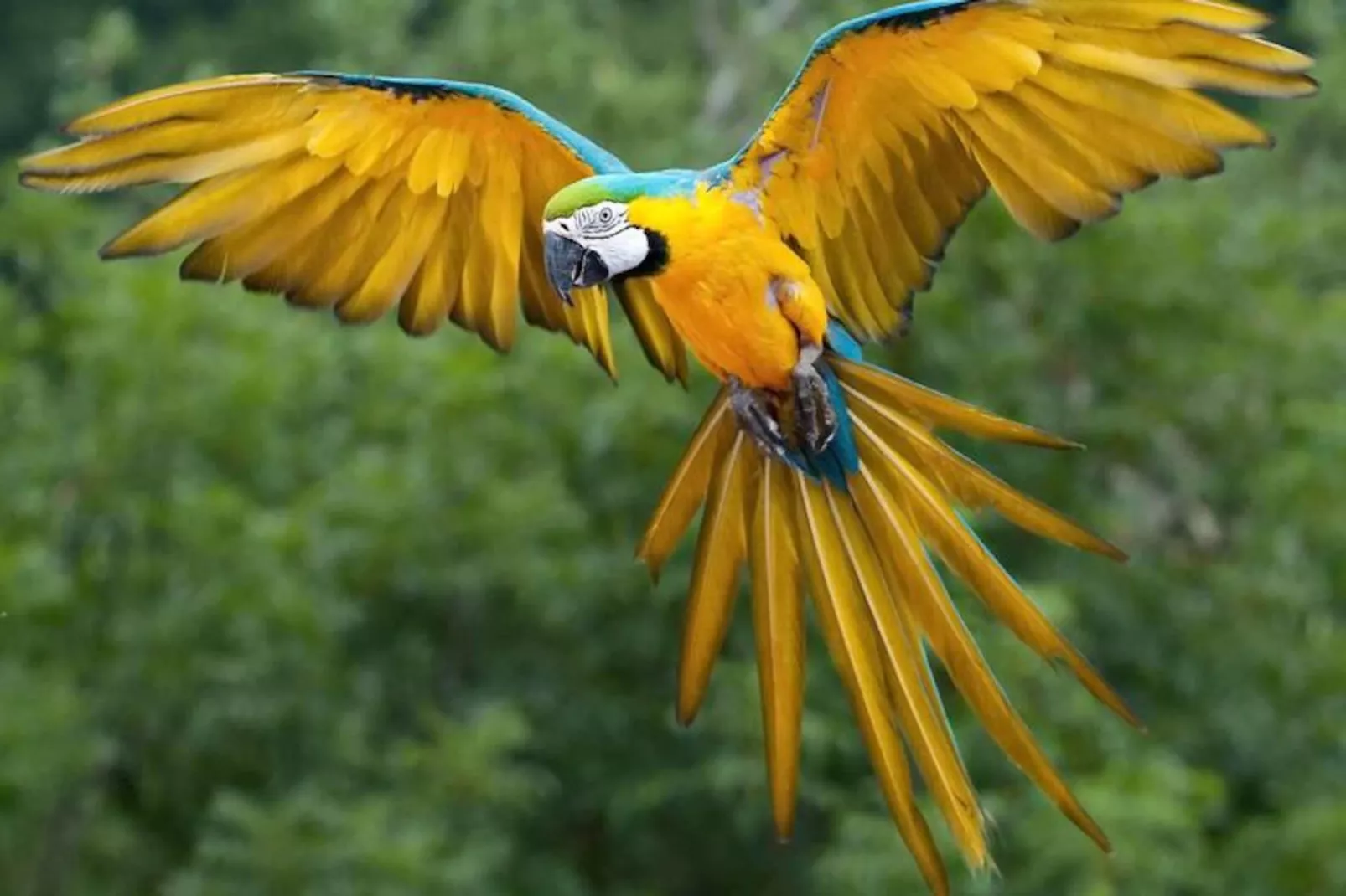 Résidence Villa Joya-la Londe Les Maures-Niet-getagd