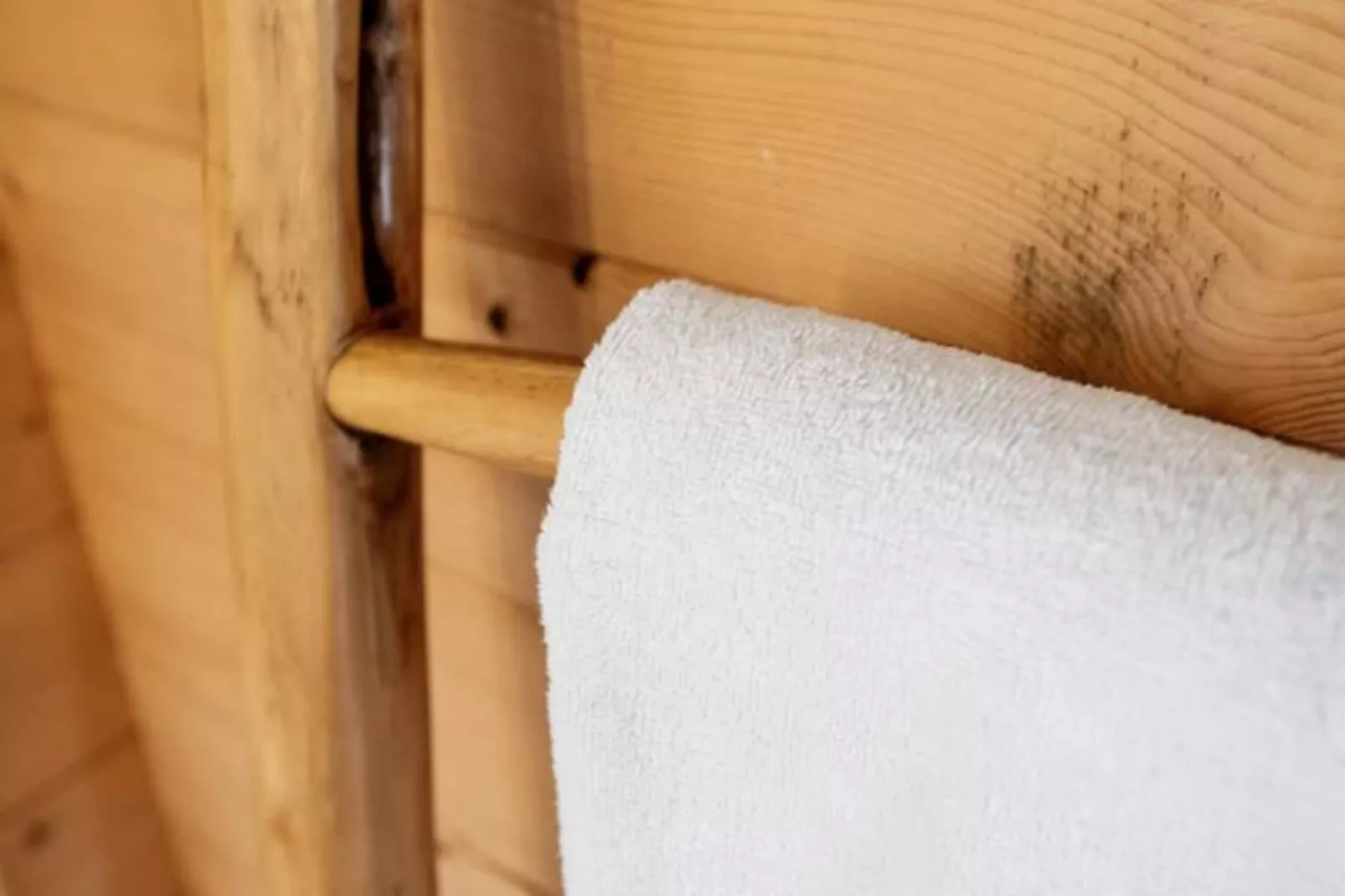 The Sea Lodge-Niet-getagd