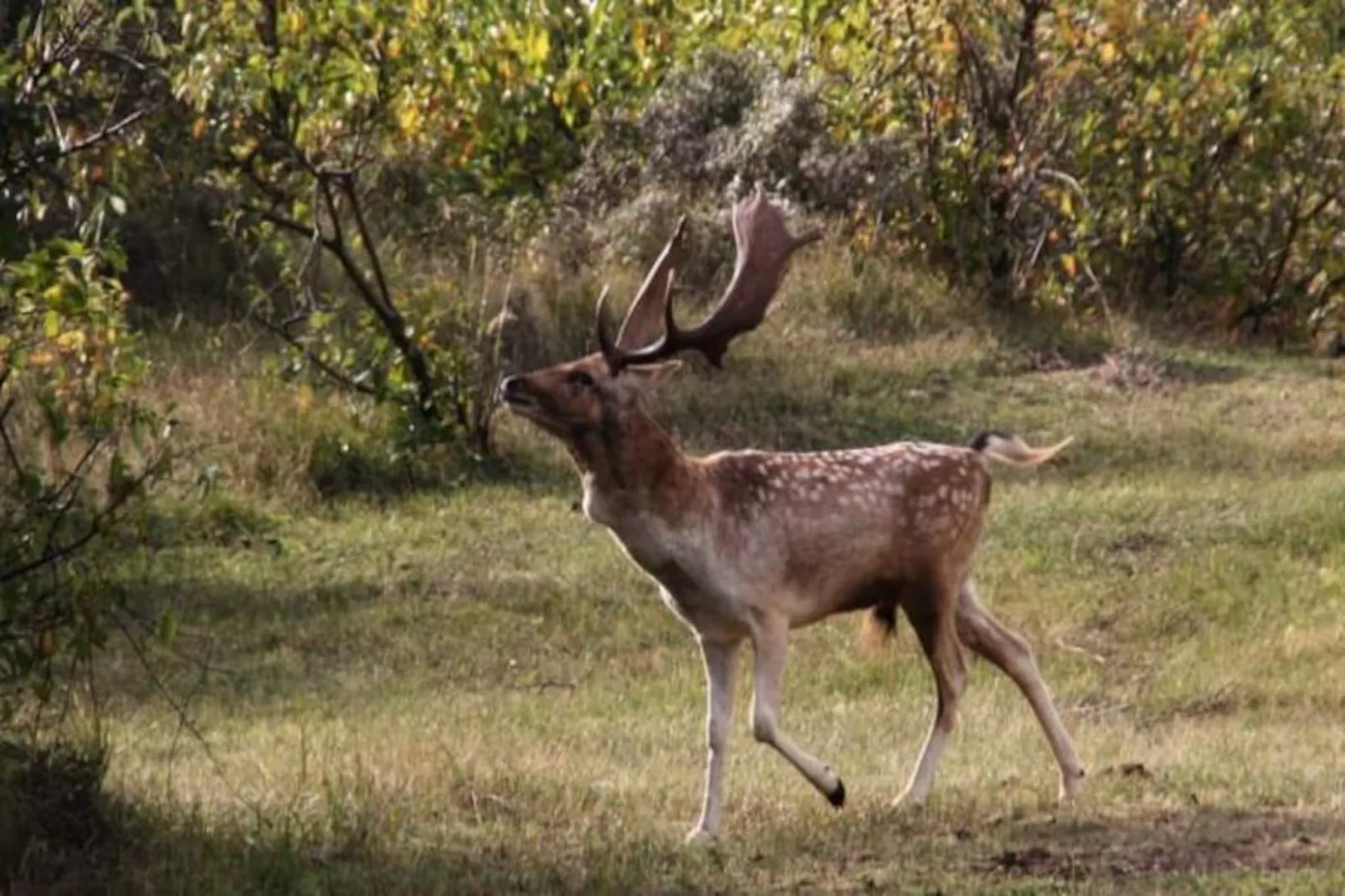 The Beach & Town Suite-Niet-getagd