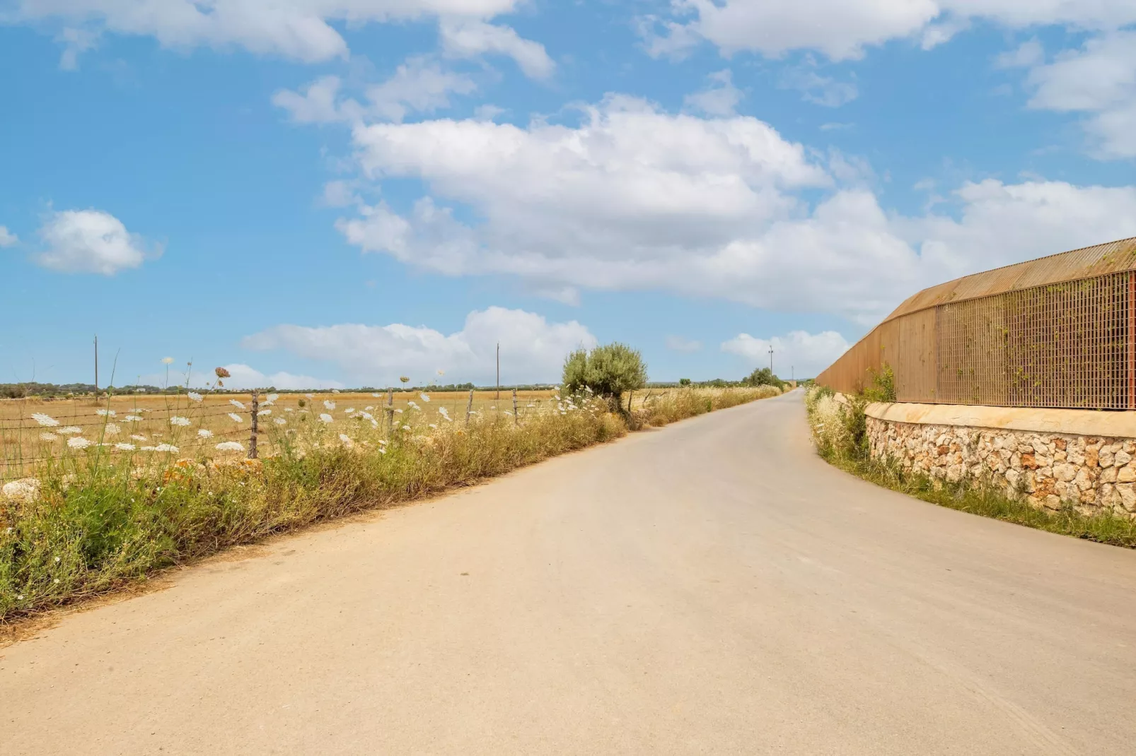 El Taller-Gebieden zomer 1km